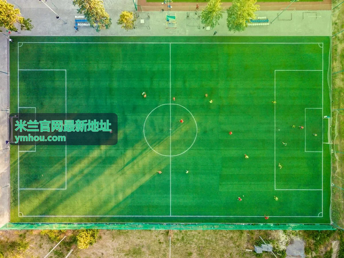 米兰平台安全使用手册