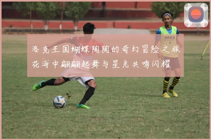 洛克王国蝴蝶陶陶的奇幻冒险之旅花海中翩翩起舞与星光共鸣闪耀