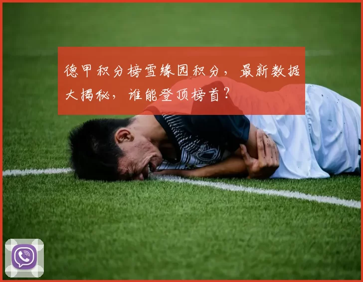 德甲积分榜雪缘园积分，最新数据大揭秘，谁能登顶榜首？
