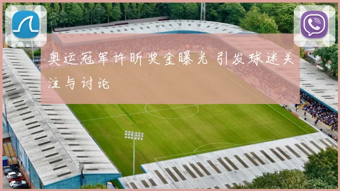 奥运冠军许昕奖金曝光 引发球迷关注与讨论
